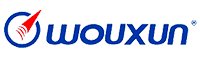 Logo Wouxun